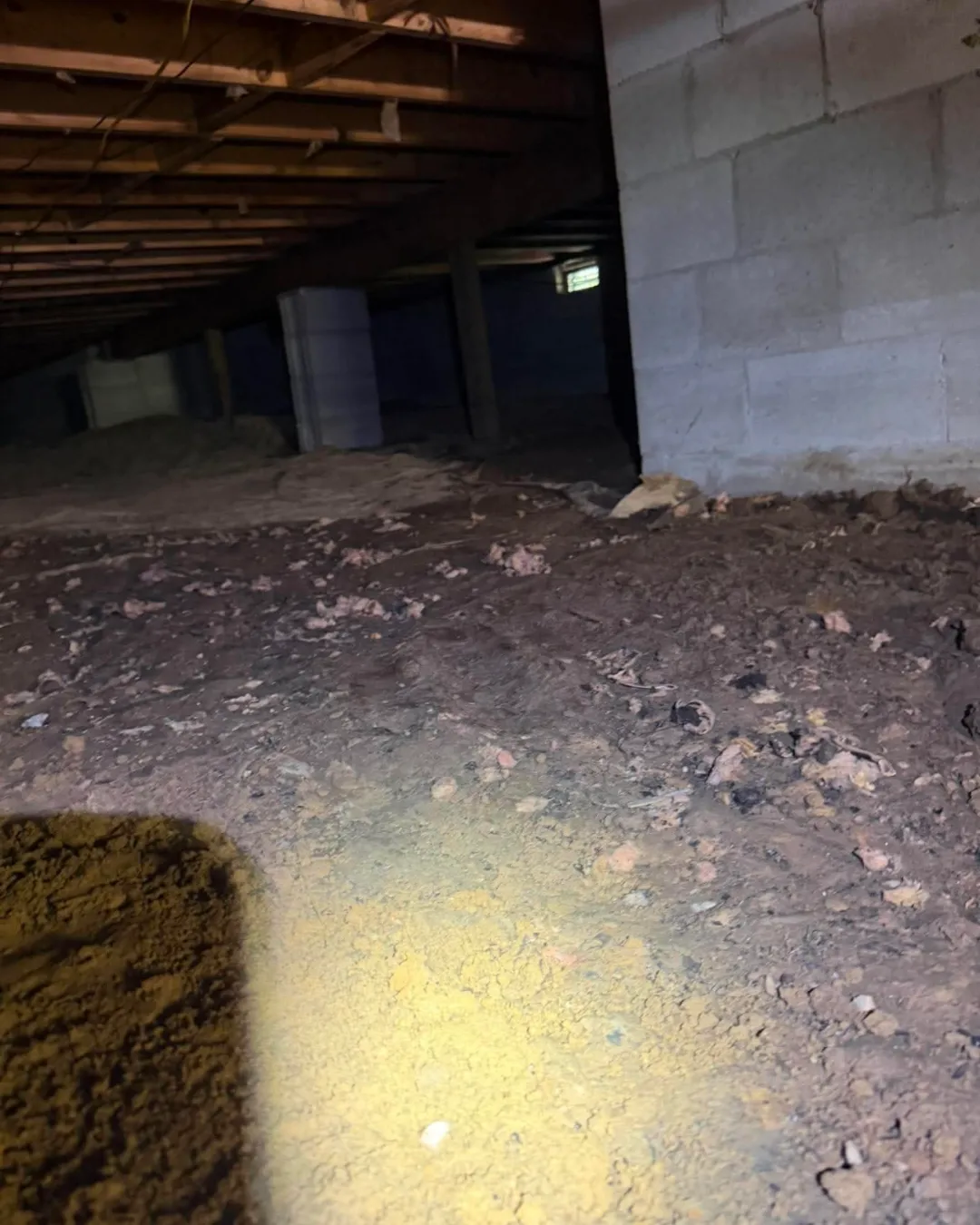A bare dirt crawl space under a home, lit by a flashlight.