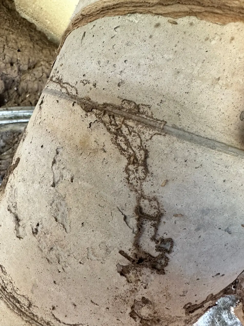 Termite mud tubes climbing a concrete foundation pier.